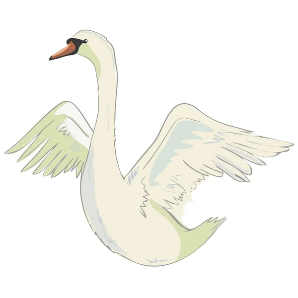 Lindo cisne princesa encantadora, vector, ilustración — Vector de stock