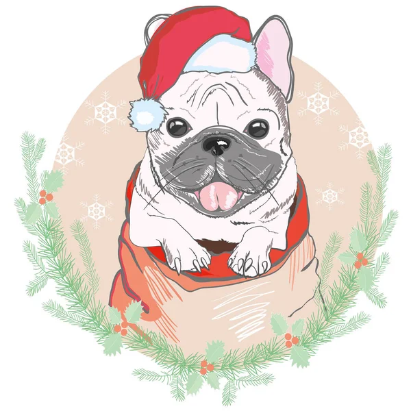 Retrato de lindo bulldog francés en sombrero de navidad rojo en bac azul — Vector de stock