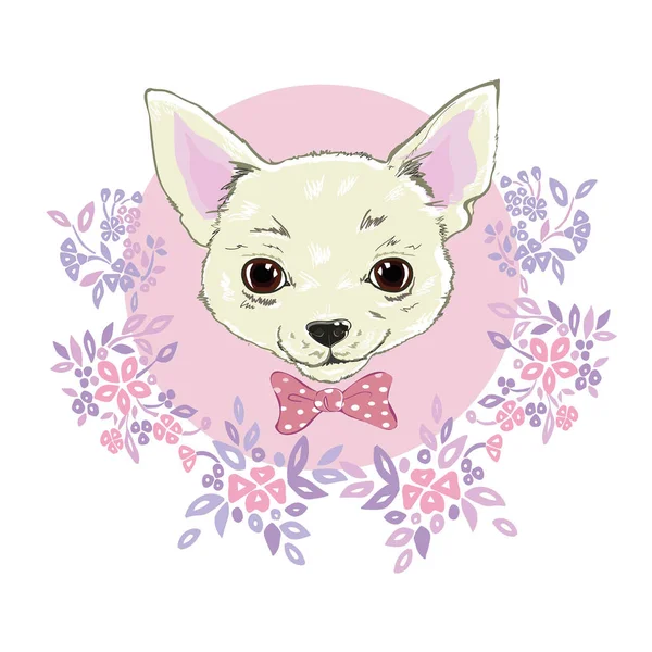 Chica Chihuahua impresión ilustración. Linda moda perro vector s — Vector de stock