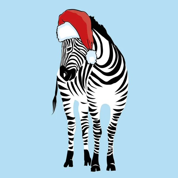 Zebra kapelusz - wektor, ilustracja, Boże Narodzenie, design, zoo — Wektor stockowy