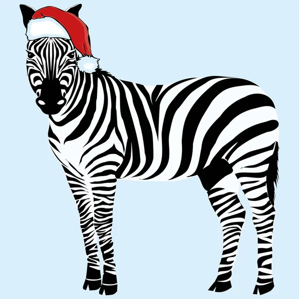 Cappello zebra vettoriale, illustrazione, Natale, design, zoo — Vettoriale Stock