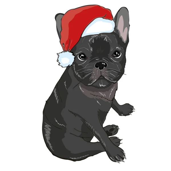 Vánoční blahopřání. Mops pes s červeným Santa s čepicí — Stockový vektor