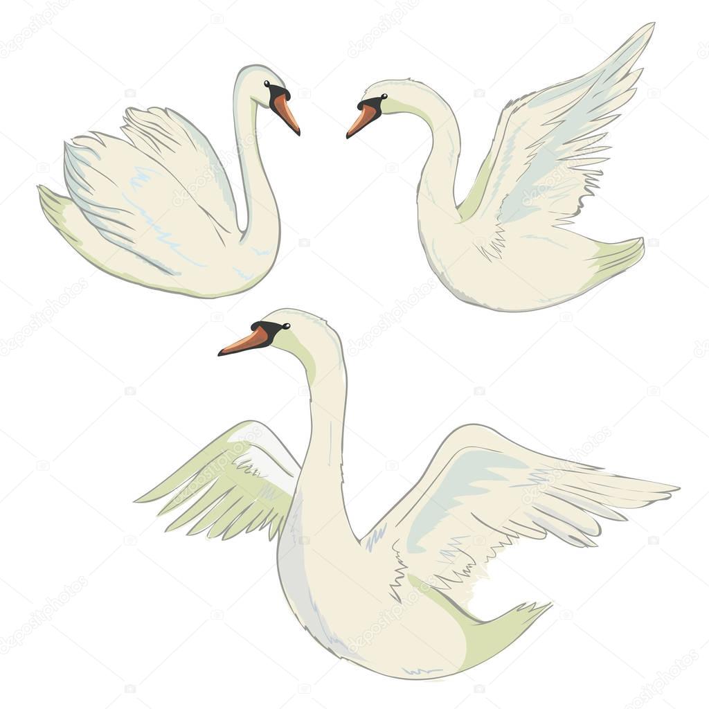 Swan symbol set