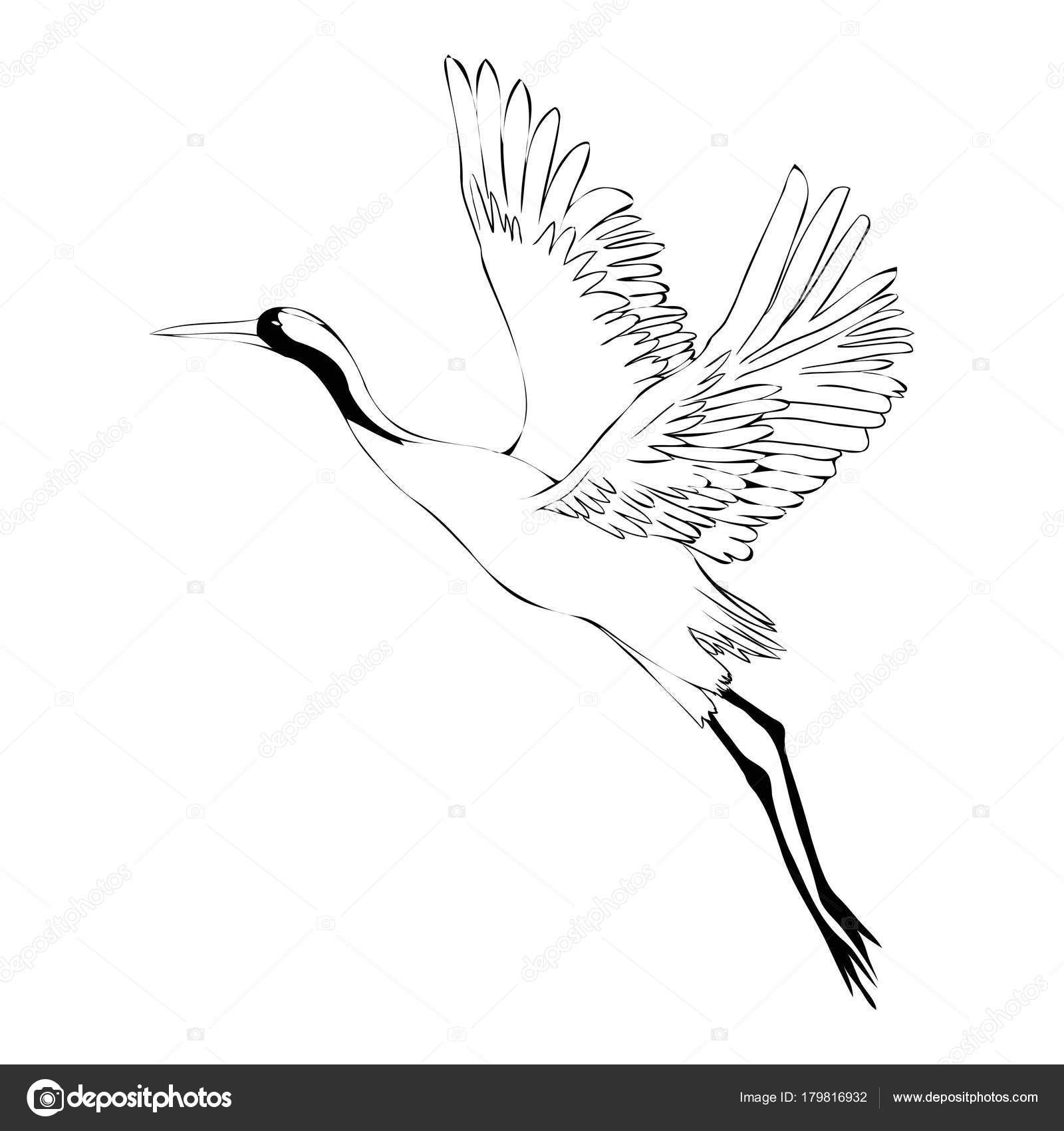 Jeu Aquarelle De Grue Oiseau Illustrations Vectorielles