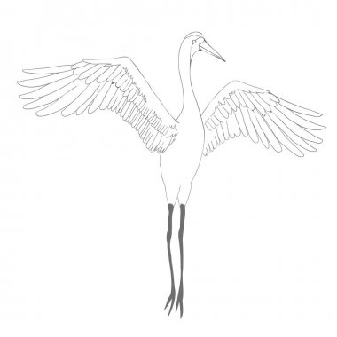 Vektör çizimler kuş vinç suluboya kümesi. Beyaz leylek .