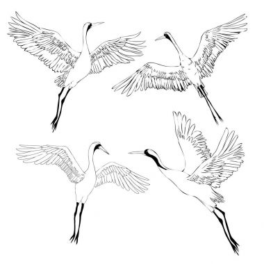 Vector watercolor set of illustrations bird crane. White stork . clipart
