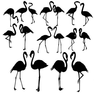 Flamingo siluet, vektör, illüstrasyon