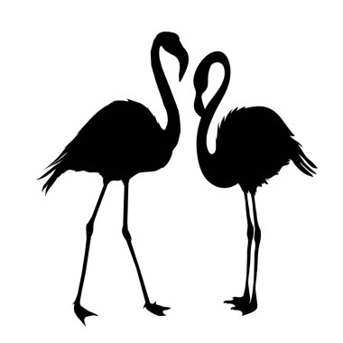 Flamingo siluet, vektör, illüstrasyon