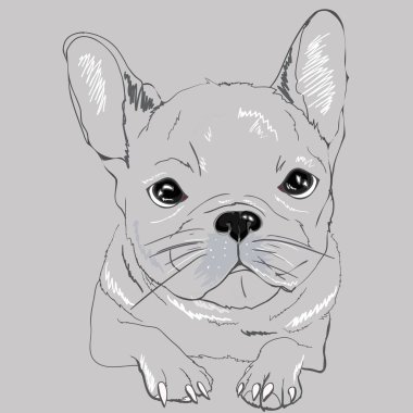 Sevimli siyah ve beyaz Fransız Bulldog T gömlek için