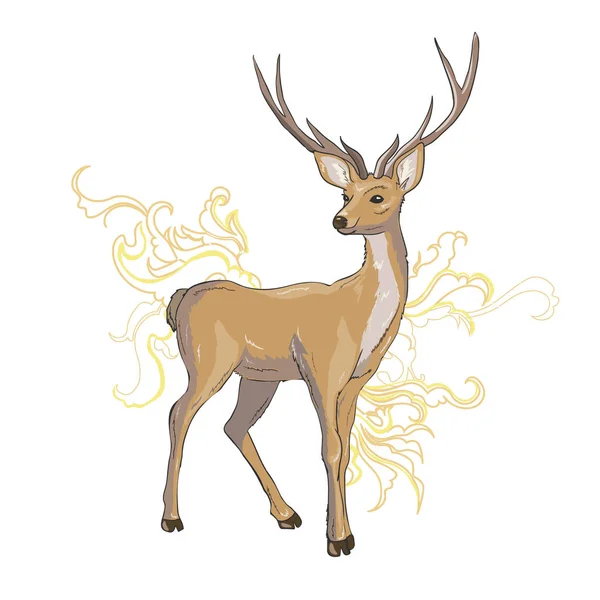 A set of deer for your design. Deer, sika deer and reindeer. Vec — Stock Vector