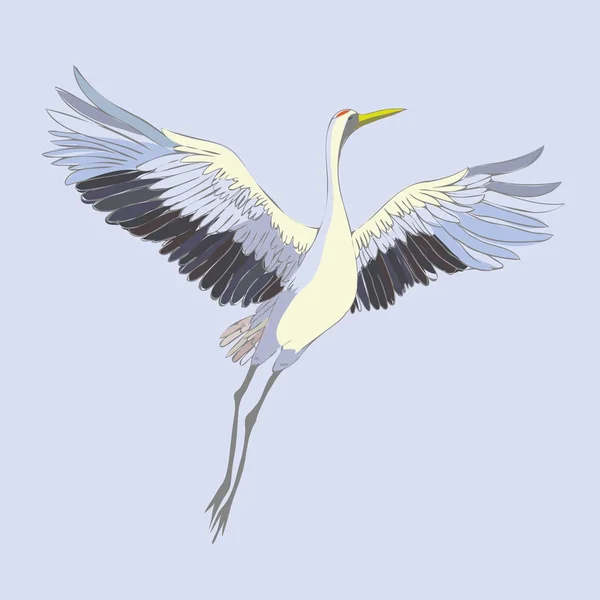 矢量水彩套的插图鸟鹤。白鹳 . — 图库矢量图片