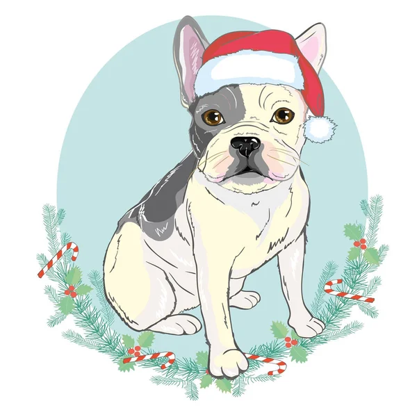 Porträt der süßen französischen Bulldogge mit rotem Weihnachtsmütze auf blauem Bac — Stockvektor