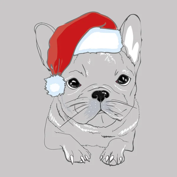 Retrato de lindo bulldog francés en sombrero de navidad rojo en bac azul — Vector de stock