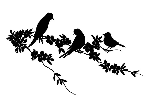 Silhouette d'oiseaux - 6 illustrations vectorielles différentes — Image vectorielle