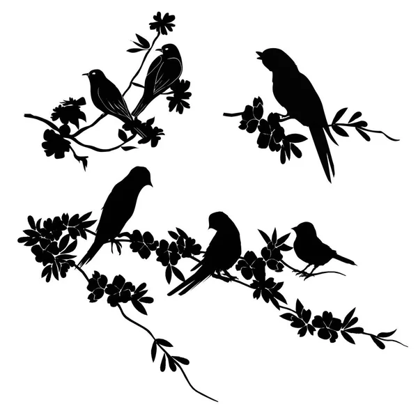 Vogels silhouette - 6 verschillende vector illustraties — Stockvector