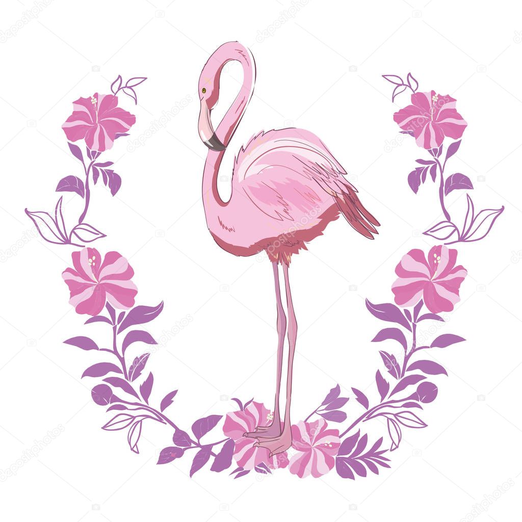 Vector illustration of pink flamingo. Isolated on the white back