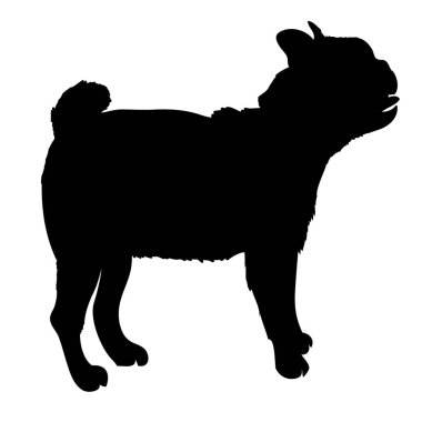 Fransız Bulldog safkan köpek yan görünümünde duran - silho vektör