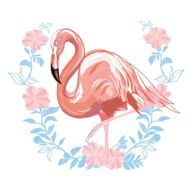 Pembe flamingo vektör illüstrasyon izole yeşil arka plan üzerinde.