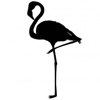 pembe, Afrika, Gaga, güzellik, bacak, yaban hayatı, plaj, çizgi film, darbe