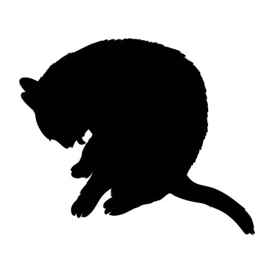 Yana doğru üzerinde beyaz backg izole kedi oturan siyah silüeti