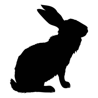 Bir oturma kadar tavşan, vektör çizim silueti