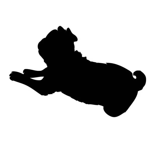 Chien de race Bulldog français debout en vue latérale - silho vectoriel — Image vectorielle