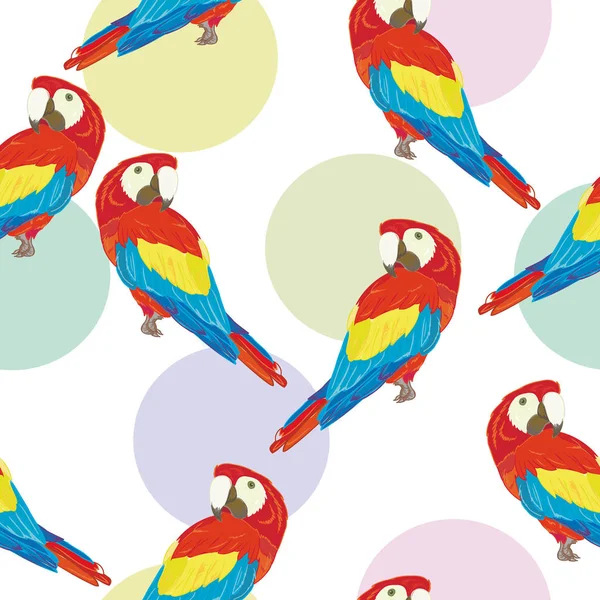 Векторный бесшовный рисунок с попугаем . — стоковый вектор