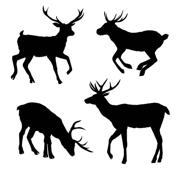 Decoration, elegance, horned, object, shadow, buck, doe, big, vi — Stock Vector