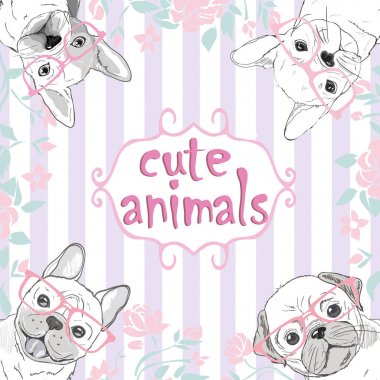 Pug köpek yüzlü - beyaz arka plan üzerinde izole vektör çizim