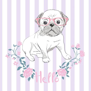 Pug köpek yüzlü - beyaz arka plan üzerinde izole vektör çizim