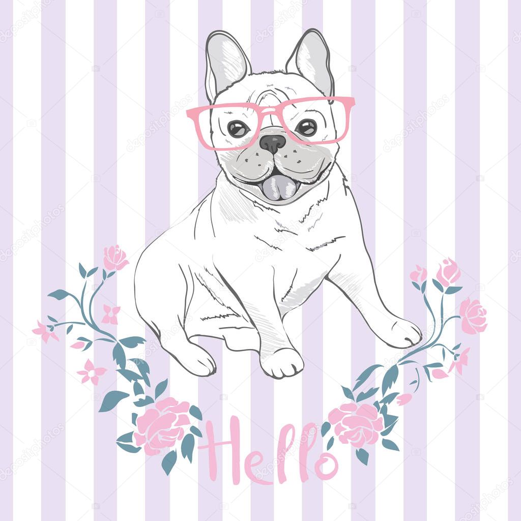 Pug dog face - vector illustration isolated on white background