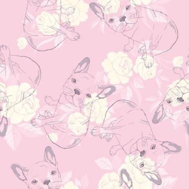 köpek. Fransız buldozer. kalp güneş gözlüğü. gözlük simgesi. resimde Dikişsiz desen duvar kağıdı arka plan