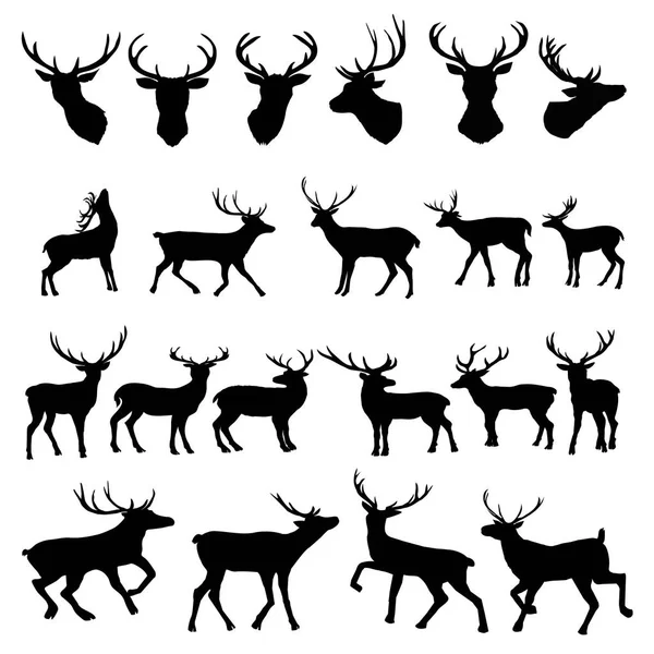 Cervos silhueta com grande antler / animal / vetor ilustração — Vetor de Stock