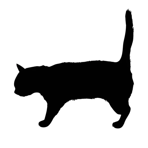 Schwarze Silhouette einer Katze, die seitlich isoliert auf weißem Hintergrund sitzt. Vektor-Illustration, Symbol, Clip Art. — Stockvektor