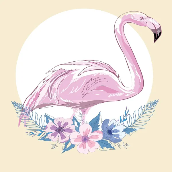 Pembe flamingo vektör illüstrasyonu — Stok Vektör