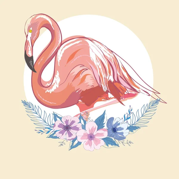 Pembe flamingo vektör illüstrasyonu — Stok Vektör