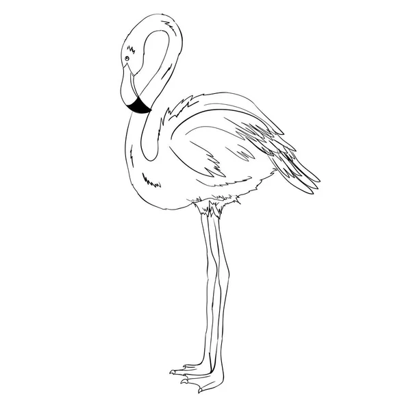 Flamingo-Vektorillustration. Doodle-Stil. isoliert auf weißem Hintergrund. Flamingo Hand Draw. Stoff, Druck, Design, Symbol, Logo, Plakat, Textil, Papier, Karte, Stoff, Verpackung, Tapete. eps10 — Stockvektor