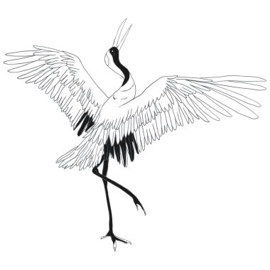 Vinç. Bir kuş uçuş. Tasarım öğesi. Vektör.