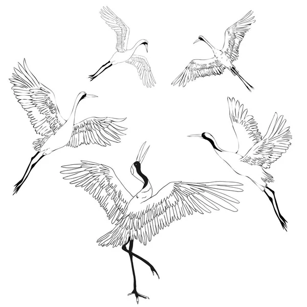 Crane. Un pájaro en vuelo. Elemento de diseño. Vector . — Archivo Imágenes Vectoriales