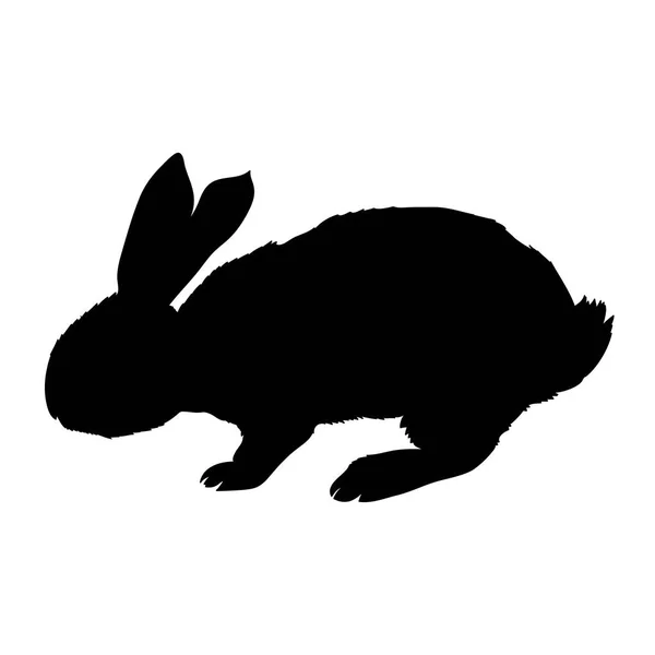 Silhouette d'un lapin assis, illustration vectorielle — Image vectorielle