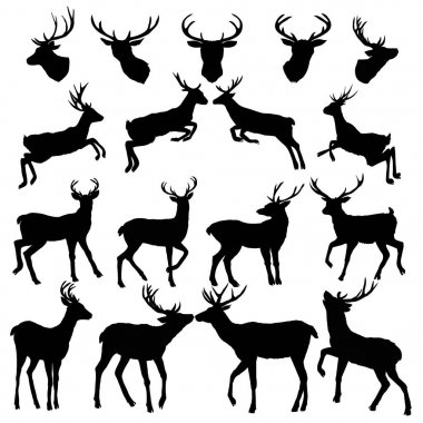 geyiği siluet, vektör, illüstrasyon