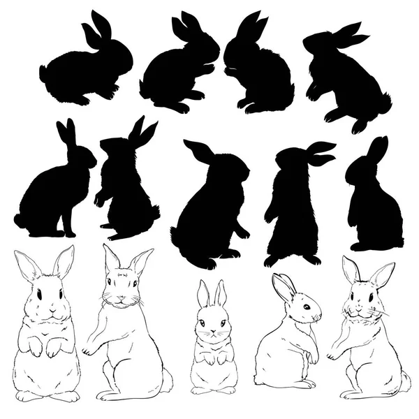Siluetas de conejo — Archivo Imágenes Vectoriales