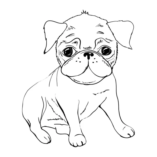 Englische Bulldogge. Französische Bulldogge. Hund auf weißem Hintergrund. Vektorhund-Illustration — Stockvektor