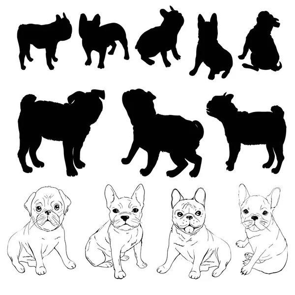 Silhouette bouledogue, chien - vecteur, illustration — Image vectorielle