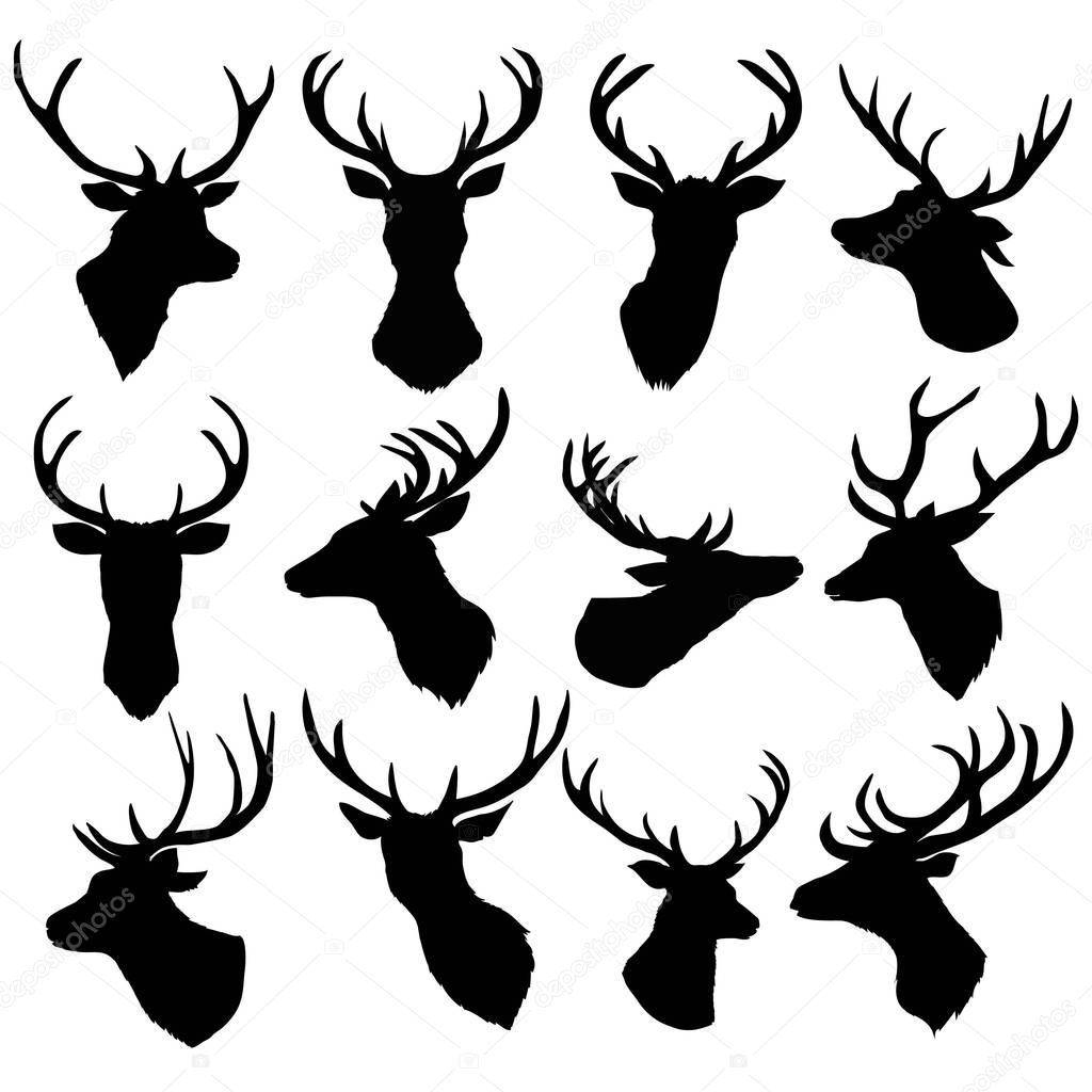 deer silhouette, vector, illustration