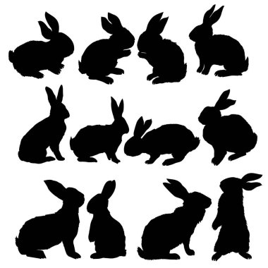 Bir oturma kadar tavşan, vektör çizim silueti