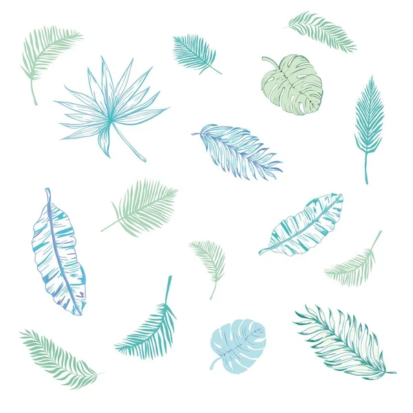 Set of palm leaves silhouettes isolated on white background. Vector EPS10 — Stock Vector