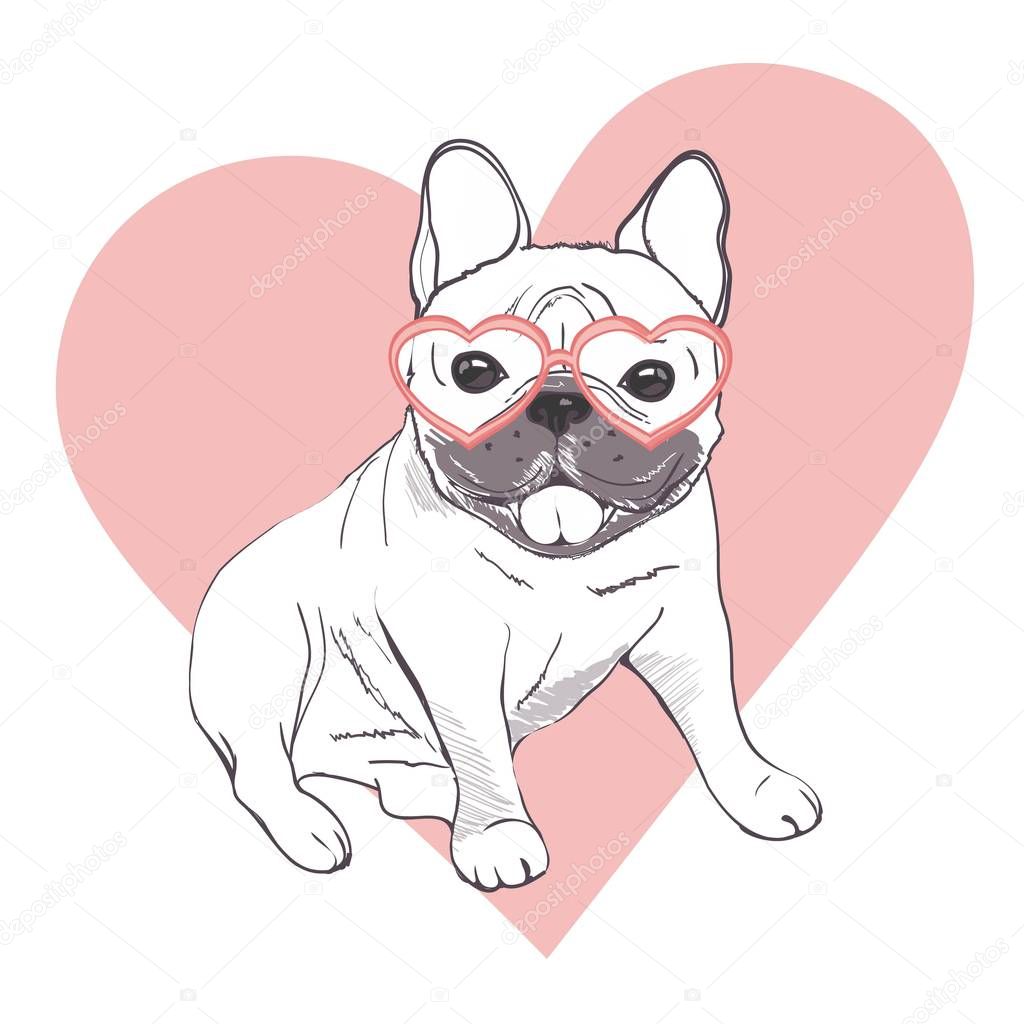 Funny puppies of french bulldog. Vector funny french bulldog, puppy cute, pet drawing sketch illustration