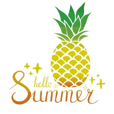 Uzun gölgeli ananas simgesi, düz tasarım