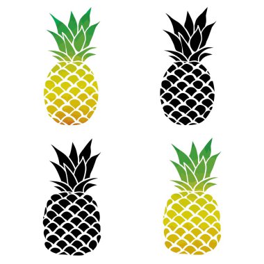 Siyah beyaz ananas vektörü üç farklı anahat. Vektör İllüstrasyonu.